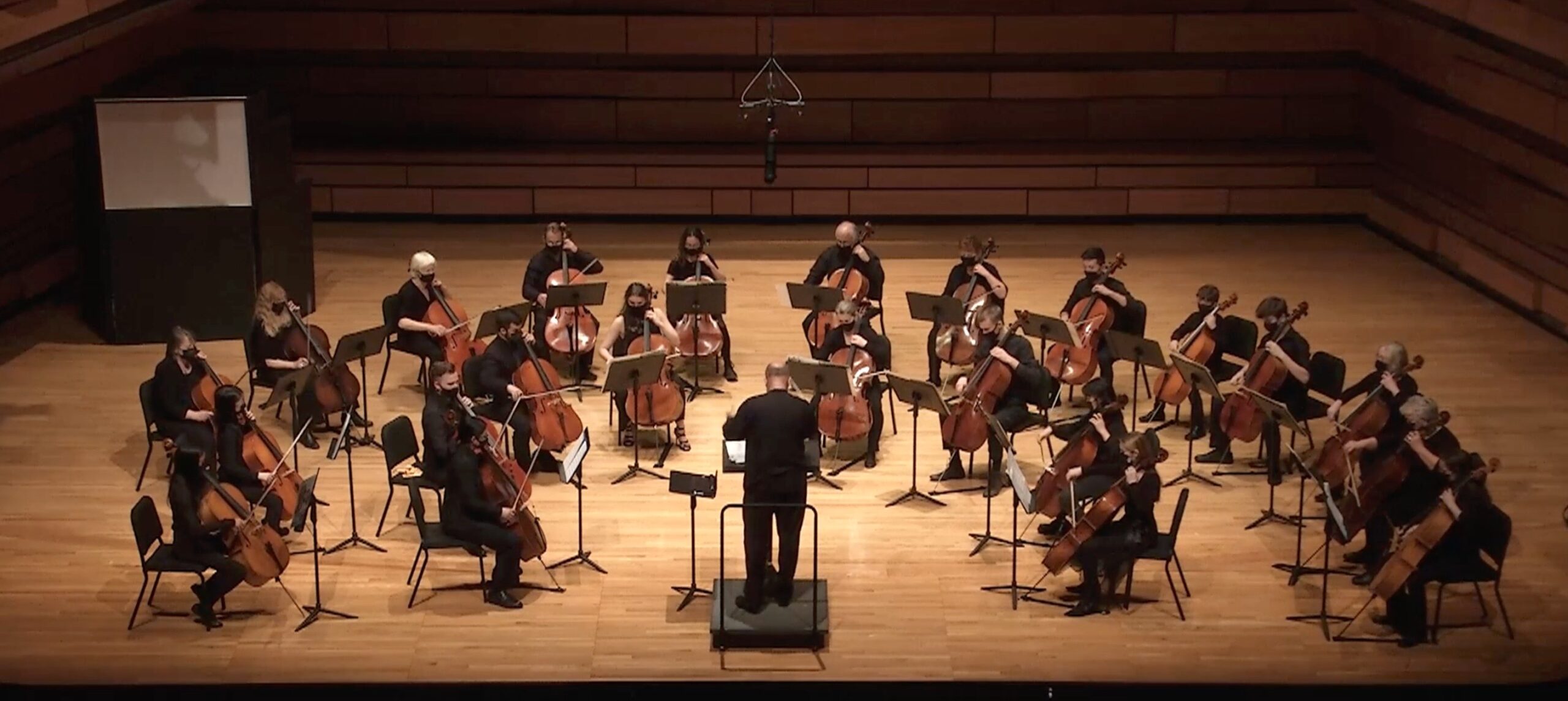 Wolf Conducting Cello Orchestra